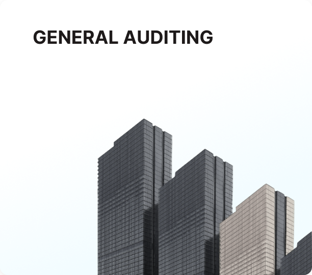 General Auditing